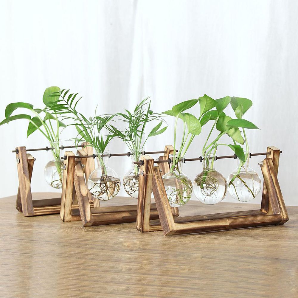 Hydroponic Plant Vases Glass V - Glass Vase Nordic avis et prix