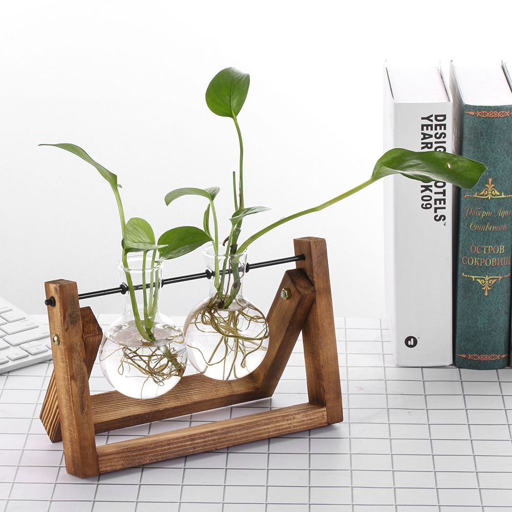 Hydroponic Plant Vases Glass V - Glass Vase Nordic avis et prix