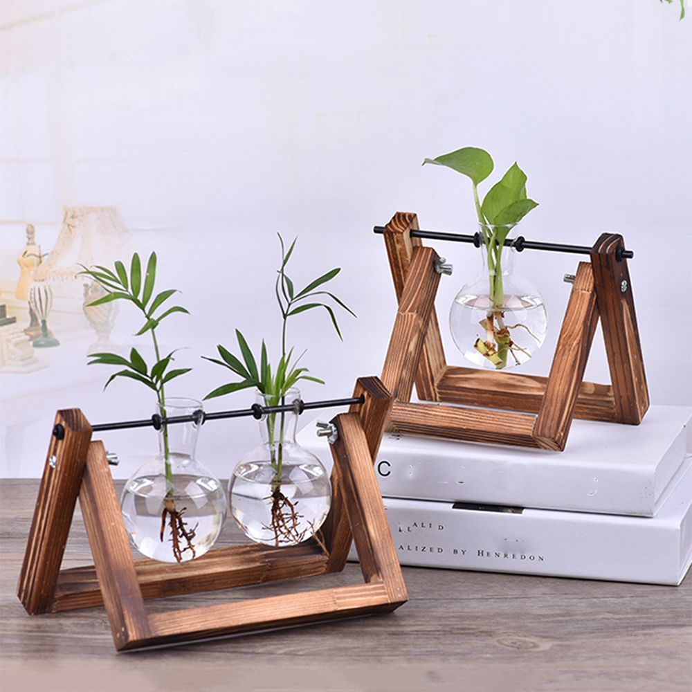 Hydroponic Plant Vases Glass V - Glass Vase Nordic avis et prix