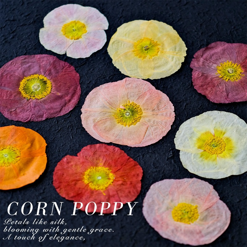 1pcs,Nature Field Poppy Presse - Home Decor Scrap avis et prix