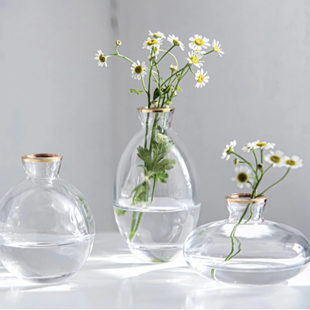 Nordic Transparent Glass Vase  - Glass Vase Nordic avis et prix