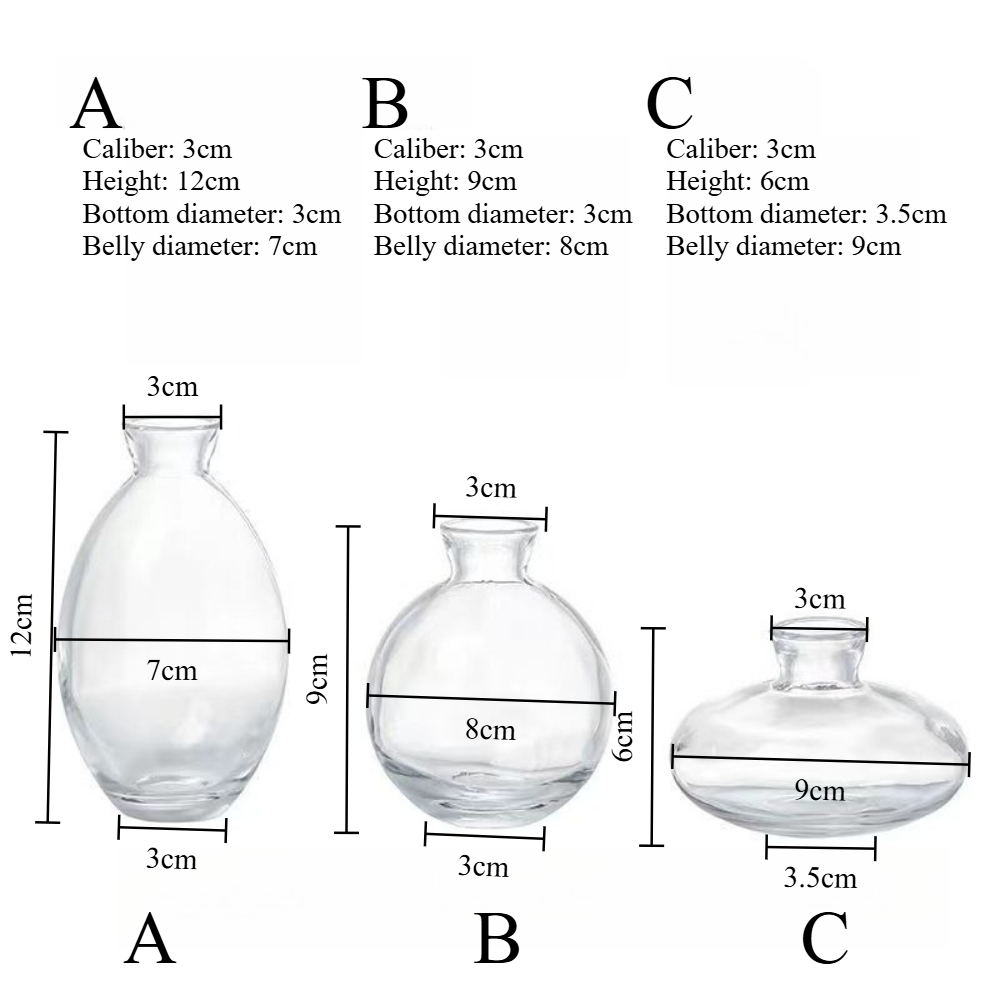 Nordic Transparent Glass Vase  - Glass Vase Nordic avis et prix