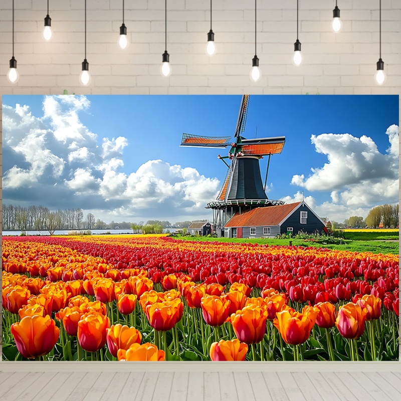 Windmill Tulip Field Netherlan - Home Decor Netherlands avis et prix