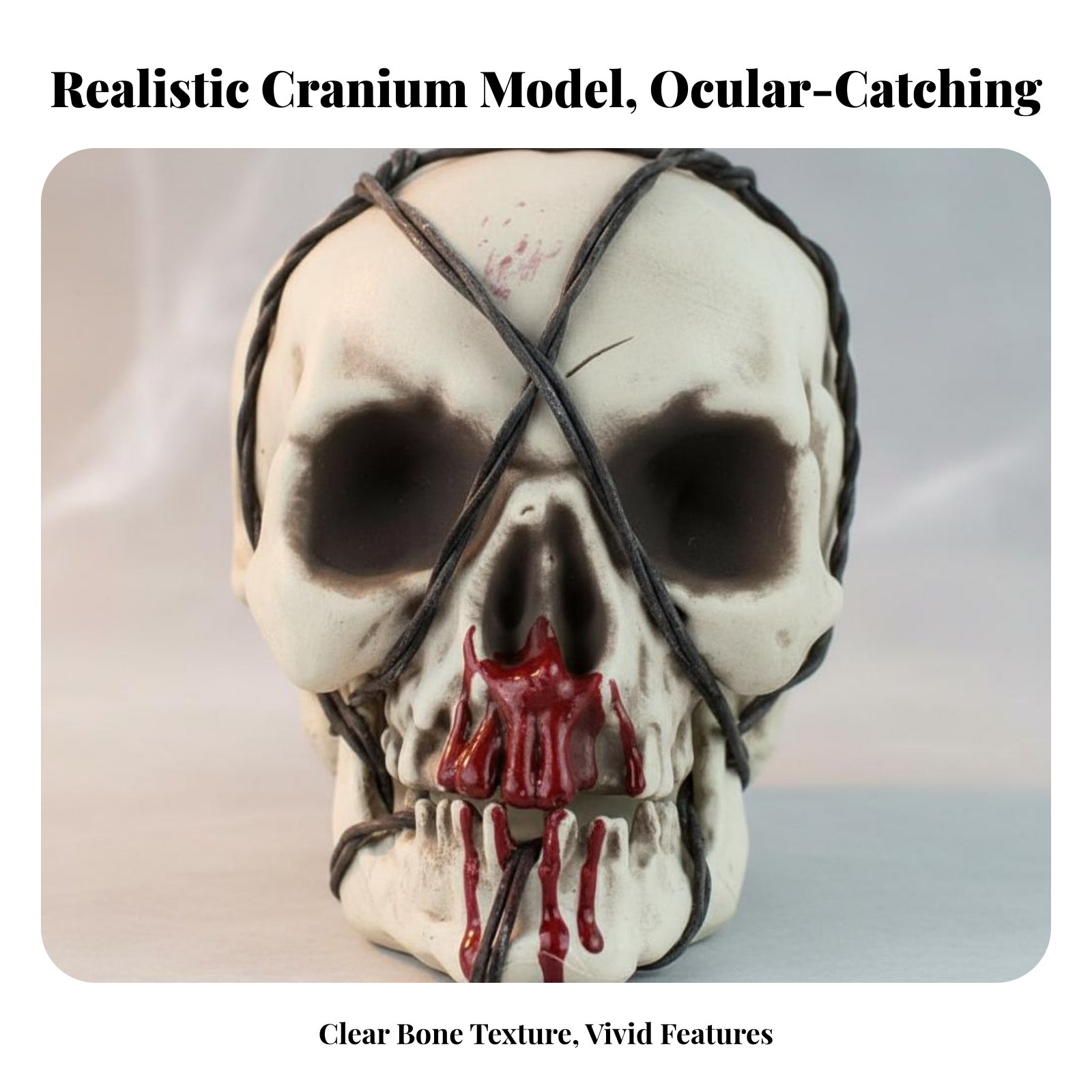 Realistic Skull Model Horror T - Home Decor In avis et prix