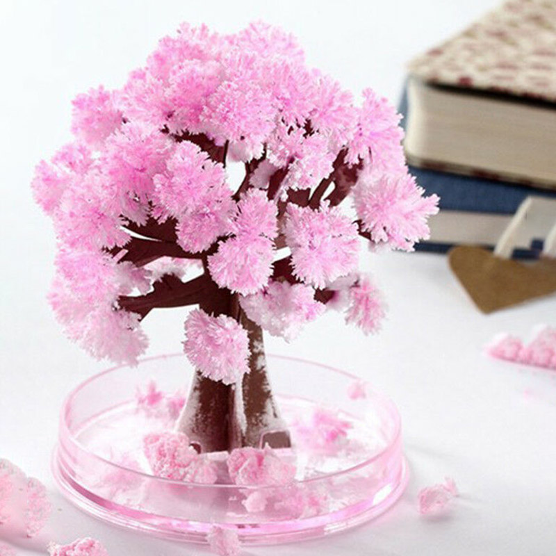 DIY Growing Tree Paper Sakura  - Home Decor Unique Items avis et prix