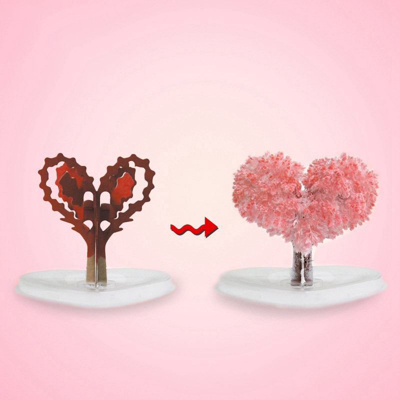 DIY Growing Tree Paper Sakura  - Home Decor Unique Items avis et prix