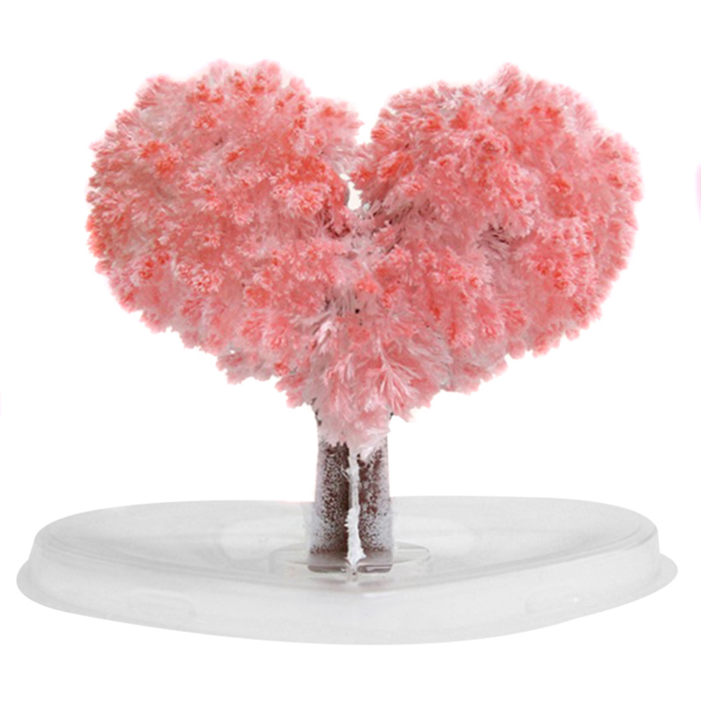 DIY Growing Tree Paper Sakura  - Home Decor Unique Items avis et prix
