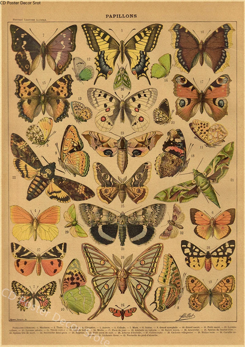 Butterfly Insect Flower Mushro - Home Decor Scrap avis et prix